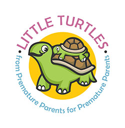 Little Turtles